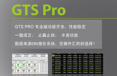 MT5平台和GTS平台有什么区别？