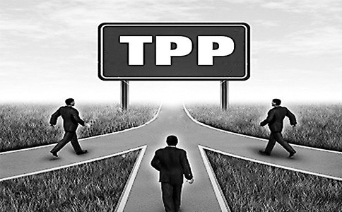 TPP是什么？