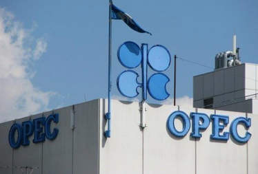 OPEC是什么意思？