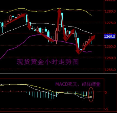 2016年5月13日现货黄金走势图分析