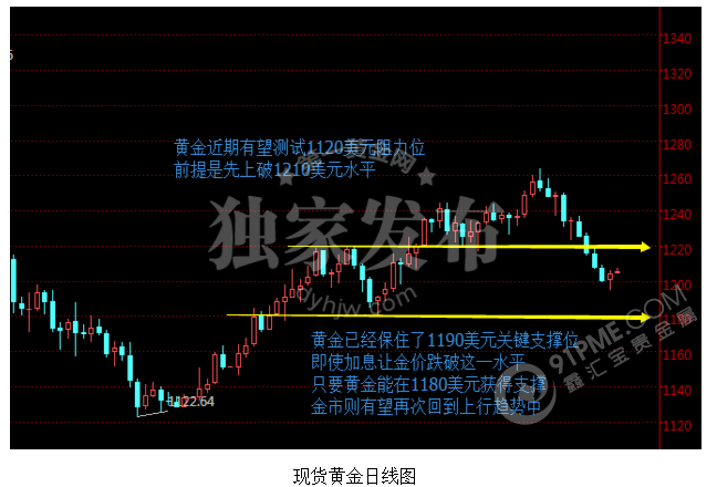 央行超级周VS欧洲政治 黄金鹿死谁手