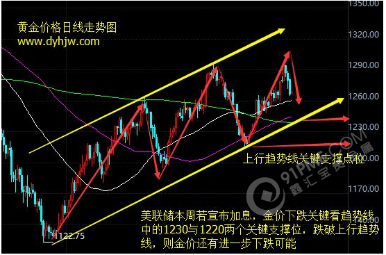 黄金走势图