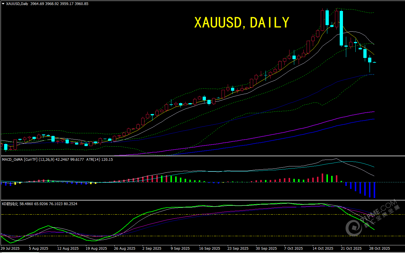 1761728183261853.png 圖片48.png